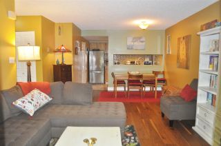 Photo 5: 14 365 GINGER Drive in New Westminster: Fraserview NW Townhouse for sale : MLS®# R2314550