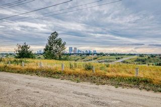 Photo 49: 80 Van Horne Crescent NE in Calgary: Vista Heights Detached for sale : MLS®# A2011848