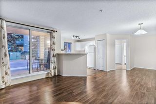 Photo 21: 102 3000 Somervale Court SW in Calgary: Somerset Apartment for sale : MLS®# A2070531