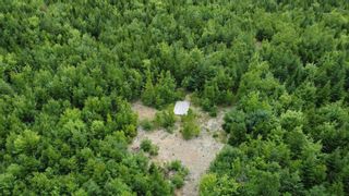Photo 13: Lot Acacia Valley Road in Bear River: Digby County Vacant Land for sale (Annapolis Valley)  : MLS®# 202315892