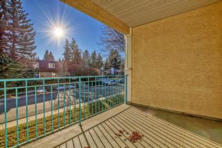 Photo 17: 214 9449 19 Street SW in Calgary: Palliser Apartment for sale : MLS®# A2093516