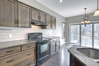 Photo 12:  in Calgary: Cranston Detached for sale : MLS®# A1087006