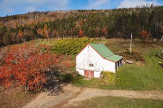 Photo 3: 5349 Marble Mountain Road in Marble Mountain: 306-Inverness County / Inverness Commercial  (Highland Region)  : MLS®# 202225612