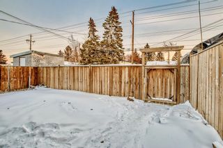 Photo 43: 6417 Penbrooke Drive SE in Calgary: Penbrooke Meadows Semi Detached (Half Duplex) for sale : MLS®# A2014861