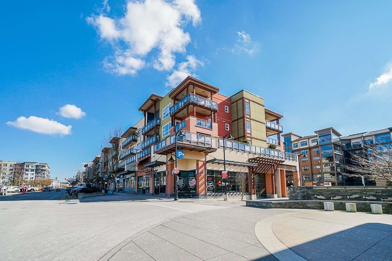 Main Photo: 303 20728 WILLOUGHBY TOWN Centre in Langley: Willoughby Heights Condo for sale in "Kensington" : MLS®# R2607342