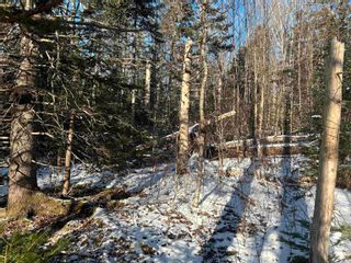 Photo 3: Lot K1 Greenfield Road in Greenfield: Kings County Vacant Land for sale (Annapolis Valley)  : MLS®# 202400528