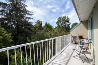 Photo 18: 310 19236 FORD Road in Pitt Meadows: Central Meadows Condo for sale in "EMERALD PARK" : MLS®# R2714397