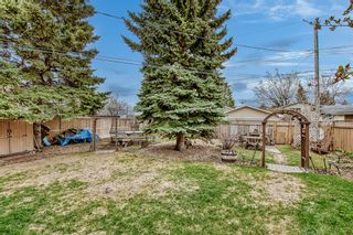 Photo 37: 607 75 Avenue NW in Calgary: Huntington Hills Detached for sale : MLS®# A2046779