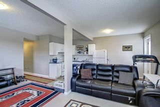 Photo 27: 250 Martinwood Place NE in Calgary: Martindale Detached for sale : MLS®# A1186078