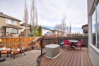 Photo 42: 317 Chapalina Terrace SE in Calgary: Chaparral Detached for sale : MLS®# A1197308