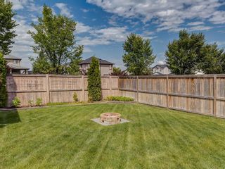 Photo 42: 100 WEST CREEK Green: Chestermere Detached for sale : MLS®# C4261237