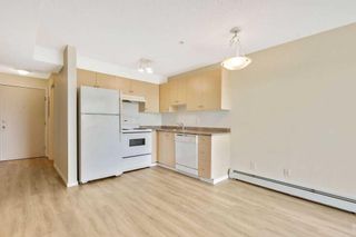 Photo 8: 3218 1620 70 Street SE in Calgary: Applewood Park Apartment for sale : MLS®# A2142631