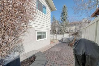 Photo 46: 320 Bermuda Drive NW in Calgary: Beddington Heights Detached for sale : MLS®# A1211726