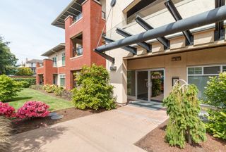 Photo 2: 104 2380 Brethour Ave in SIDNEY: Si Sidney North-East Condo for sale (Sidney)  : MLS®# 786586