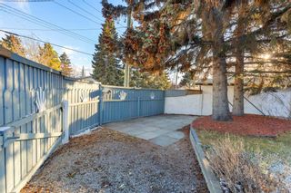Photo 39: 4852 Mardale Road NE in Calgary: Marlborough Detached for sale : MLS®# A2094573