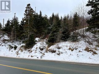 Photo 4: 455 Main Road in Chapel Arm: Vacant Land for sale : MLS®# 1267412