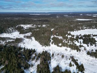 Photo 3: Acres Bouchers Lane in Arichat: 305-Richmond County / St. Peters Vacant Land for sale (Highland Region)  : MLS®# 202402492