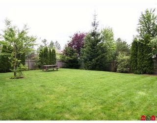 Photo 9: 26839 24TH Avenue in Langley: Aldergrove Langley House for sale : MLS®# F2816073