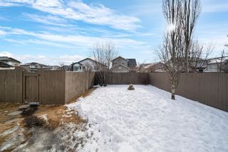 Photo 31: 226 Woodhaven Drive: Okotoks Detached for sale : MLS®# A1193619
