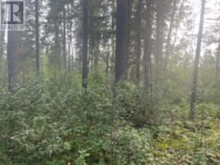 Photo 4: LOT 4 VALHALLA ROAD in Quesnel: Vacant Land for sale : MLS®# R2861465
