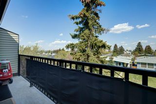 Photo 16: 427 550 Westwood Drive SW in Calgary: Westgate Apartment for sale : MLS®# A2050573