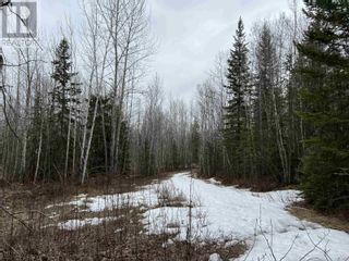 Photo 5: 601 MARSH ROAD in Quesnel: Vacant Land for sale : MLS®# R2758913