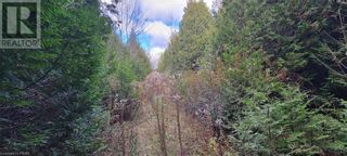 Photo 40: 0 LAKESHORE Road in Clarington: Vacant Land for sale : MLS®# 40343987