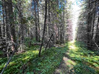 Photo 22: LOT 3 CAVE Road in Williams Lake: Horsefly Land for sale : MLS®# R2719437
