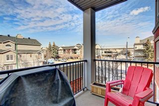 Photo 13: 209 1108 15 Street SW in Calgary: Sunalta Apartment for sale : MLS®# A2124532