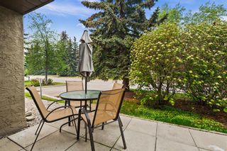 Photo 15: 9 210 Village Terrace SW in Calgary: Patterson Apartment for sale : MLS®# A2049992