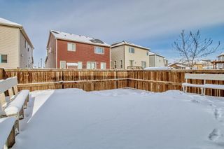 Photo 50: 158 OSBORNE RISE  SW in Airdrie: House for sale : MLS®# A2031149
