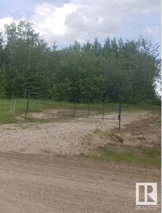 Photo 3: 47411 RR 31: Rural Leduc County Rural Land/Vacant Lot for sale : MLS®# E4294586