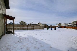 Photo 35: 250 Martinwood Place NE in Calgary: Martindale Detached for sale : MLS®# A1186078