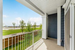 Photo 14: 218 400 Auburn Meadows Common SE in Calgary: Auburn Bay Apartment for sale : MLS®# A2136313