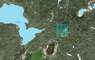 Photo 2: MONS LAKE ROAD in Williams Lake: Williams Lake - Rural West Land for sale (Williams Lake (Zone 27))  : MLS®# R2569770