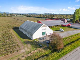 Photo 5: 13222 SHARPE Road in Pitt Meadows: North Meadows PI Agri-Business for sale : MLS®# C8057437