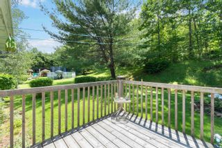 Photo 22: 334 Carleton Rd in Lawrencetown: Annapolis County Residential for sale (Annapolis Valley)  : MLS®# 202214451