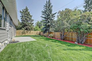 Photo 43: 3719 58 Avenue SW in Calgary: Lakeview House for sale : MLS®# C4165322