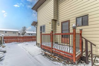 Photo 35: 55 TEMPLEVALE Way NE in Calgary: Temple Detached for sale : MLS®# A2103805