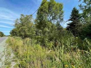 Photo 1: 450 Wellington Street in Pictou: 107-Trenton, Westville, Pictou Vacant Land for sale (Northern Region)  : MLS®# 202223704
