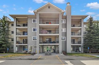Photo 3: 2417 4975 130 Avenue SE in Calgary: McKenzie Towne Apartment for sale : MLS®# A1233854