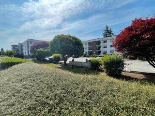 Photo 1: 207 33490 COTTAGE Lane in Abbotsford: Central Abbotsford Condo for sale in "Cottage Lane" : MLS®# R2789926