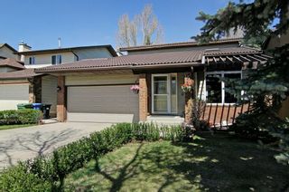 Photo 31: 56 MACEWAN GLEN Drive NW in Calgary: MacEwan Glen House for sale : MLS®# C4173721