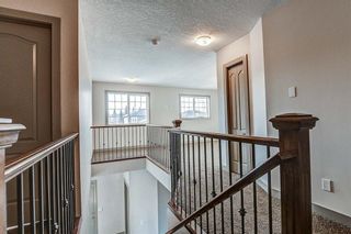 Photo 22: 36 ROYAL HIGHLAND Court NW in Calgary: Royal Oak Detached for sale : MLS®# A1029258