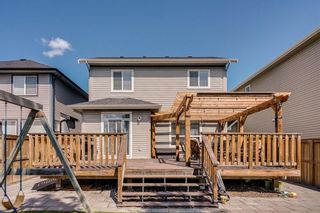 Photo 43: 462 WILLIAMSTOWN Green NW: Airdrie Detached for sale : MLS®# C4264468