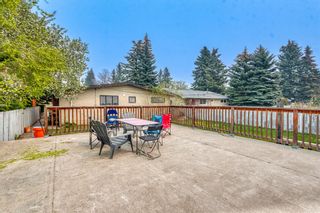Photo 30: 4431 Dalhart Road NW in Calgary: Dalhousie Detached for sale : MLS®# A2050189