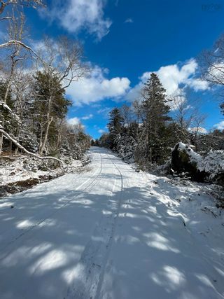 Photo 7: Lot C Highway 224 in Sheet Harbour: 35-Halifax County East Vacant Land for sale (Halifax-Dartmouth)  : MLS®# 202302149