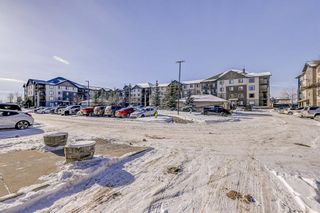 Photo 24: 2135 8 Bridlecrest Drive SW in Calgary: Bridlewood Apartment for sale : MLS®# A2011283