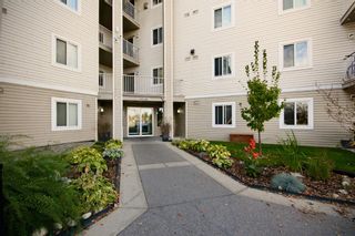 Photo 14: 303 1717 60 Street SE in Calgary: Red Carpet Apartment for sale : MLS®# A1152077