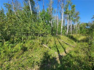 Photo 8: 53 Viking Trail in Gimli Rm: Vacant Land for sale : MLS®# 202303367